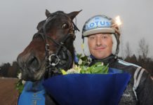 Inför V75 Örebro 3 maj 2014: Robert Bergh om Kadett C.D. image