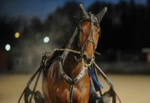 Inför V75 Eskilstuna 12 april 2014: Maverick Man! image