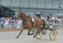 Inför V75 Romme: Jakt på sista platsen i Olympiatravet image