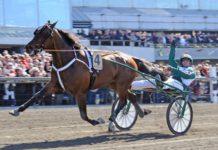 Inför V75-V86-V64: Hultmans stjärnor i fokus maharajah genrepar
