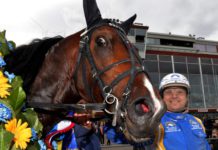 V75 eftersnack Eskilstuna 12 april 2014: Veijo Heiskanen veijo olympiatravet