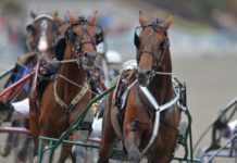 ATG:s nya satsning på sports-betting: ”Förvänta dig mer” atg reklamsatsning