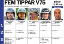Fem tippar V75 Gävle 17 maj 2014 fem tippar v gavlemaj