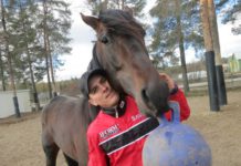 Inför V75 Umåker 10 maj 2014: Umåkers Zlatan image