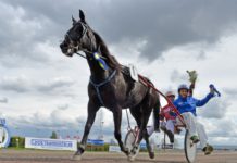 Inför V75 Jackpot 24 maj 2014: Peter Untersteiner image