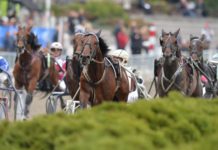 Inför EXTRA V75 Åby 28 maj 2014: Djali Boko image