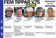 Fem tippar EXTRA V75 Halmstad 3 juli 2014 fem tippar extra v