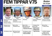 Fem tippar V75 till Boden 14 juni 2014 fem tippar v