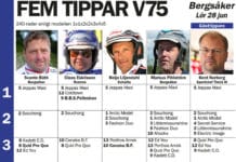 Fem tippar V75 Bergsåker 28 juni 2014 fem tippar v