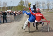Experterna om B.B.S. Sugarlight EXTRA V75 Bjerke 8 juni 2014 image