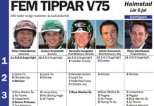 Fem tippar V75 Halmstad 5 juli 2014 fem tippar v