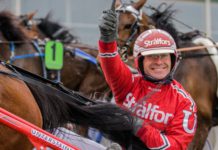 Peter Untersteiner inför V75 Halmstad 5 juli 2014 untersteiner halmstad