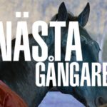 NÄSTAGÅNGARE till V75 HALMSTAD + Andelsspel nästagångare travtips