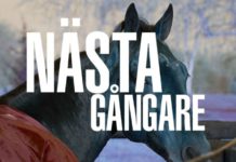 V86 JACKPOT – NÄSTAGÅNGARE nästagångare travtips