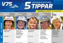 Fem tippar V75 till Solvalla 15 november 2014 fem tippar v