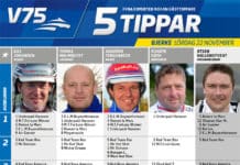 Fem tippar V75 till Bjerke 22 november 2014 fem tippar v