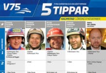 Fem tippar V75 till Halmstad 8 november 2014 fem tippar v halmstad nov