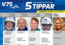 Fem tippar V75 till Jägersro 29 november fem tippar v infor jagersro