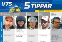Fem tippar EXTRA V75 till Örebro 28 december 2014 fem tippar extra v