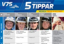 Fem tippar V75 till Annandagen på Solvalla fem tippar v