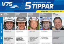 Fem tippar V75 till Jägersro 3 januari 2015 fem tippar v