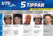 Fem tippar V75 till Bergsåker 6 december 2014 fem tippar v bergsaker