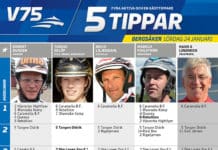 Fem tippar V75 till Bergsåker 24 januari 2015 fem tippar v bergsaker januari