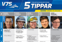 Fem tippar V75 inför Romme 10 januari 2015 fem tippar v romme jan