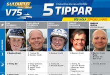 Fem tippar V75 till Solvalla Söndag 1 mars femtipparv