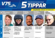 Fem tippar V75 till Halmstad 28 februari 2015 fem tippar v halmstad februari
