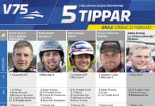 Fem tippar V75 till Gävle 21 februari 2015 fem tippar v infor gavle februari