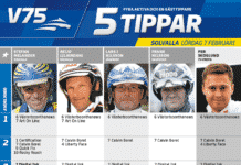 Fem tippar V75 till Solvalla 7 februari 2015 fem tippar v solvalla februari