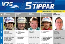 Fem tippar V75 till Bergsåker 7 mars fem tippar v bergsaker mars