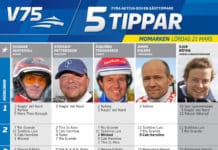Fem tippar V75 till Momarken 21 mars 2015 fem tippar v momarken