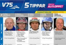 Fem tippar V75 till Charlottenlund fem tippar v charlottenlund