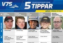 Fem tippar V75 till Gävle 23 maj 2015 fem tippar v gavle