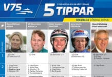 Fem tippar V75 Lördag Elitloppshelgen fem tippar v infor solvalla lordag
