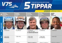 Fem tippar V75 till Umåker 9 maj fem tippar v umaker guldbjorken