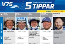 Fem tippar V75 till Vermo 17 maj fem tippar v vermo maj
