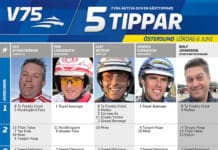 Fem tippar V75 till Östersund 6 juni fem tippar v