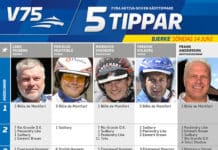Fem tippar V75 till BJERKE 14 juni 2015 fem tippar v bjerke juni