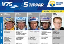 Fem tippar V75 till Boden 13 juni 2015 fem tippar v boden juni