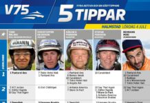 Fem tippar V75 till Halmstad 4 juli 2015 fem tippar v halmstad