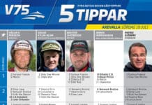 Fem tippar V75 till Axevalla 18 juli fem tippar v axevalla