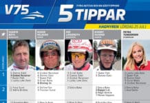 Fem tippar V75 inför Hagmyren 25 juli fem tippar v infor hagmyren lordag