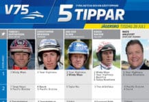 Fem tippar V75 Hugo Åbergs 2015 fem tippar v infor jagersro hugo abergs