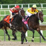 4 saker du behöver tänka på innan du satsar på trav och galopp Horserace