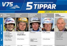 Fem tippar V75 till Gävle 22 augusti fem tippar v