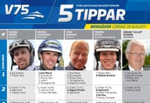 Fem tippar V75 Bergsåker 29 augusti fem tippar v