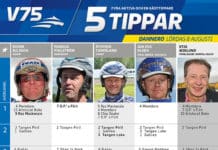 Fem tippar V75 Dannero 8 augusti fem tippar v infor dannero